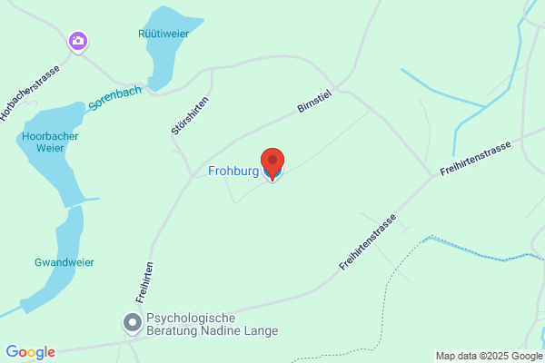 Restaurant Frohburg
