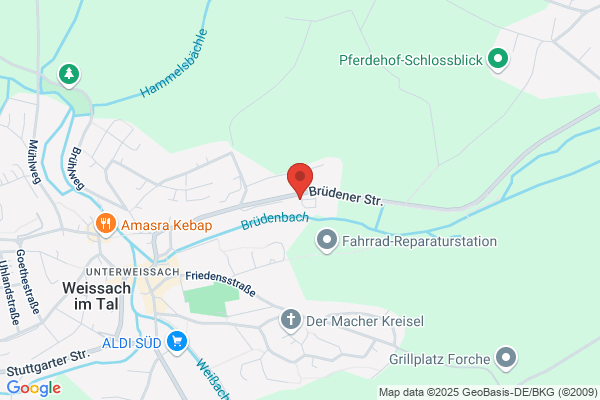 Seeland Baumschulen AG