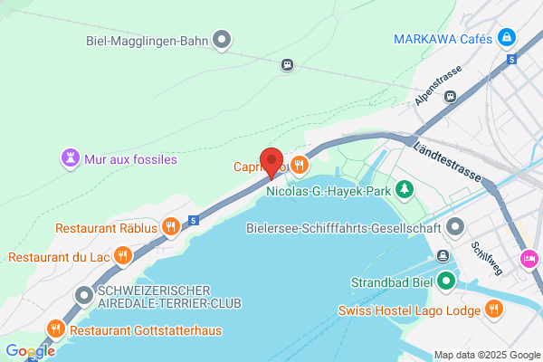 Segelschule Bielersee AG