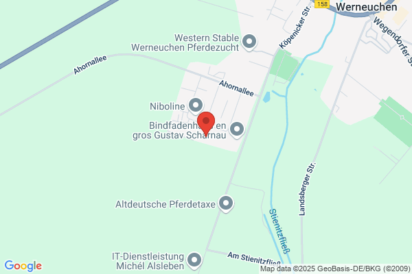 Kaelin Autoteile Zubehoer und Tuning