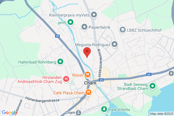 Kuenzli Consulting