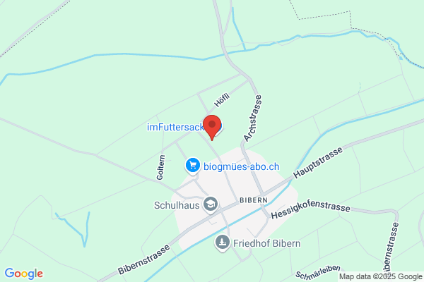 Gesundes Pferd Andrea Möri