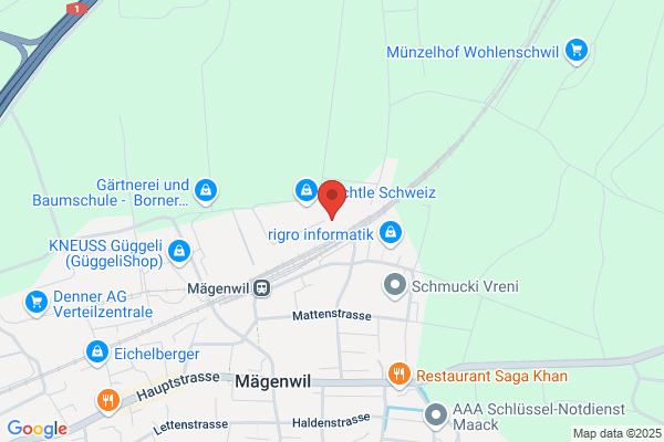Die Schweizer Post