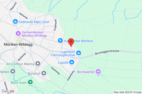 Hasler Kranservice AG