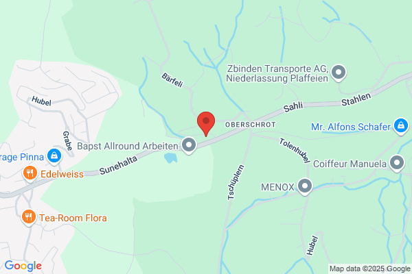 Bapst Allroundarbeiten GmbH