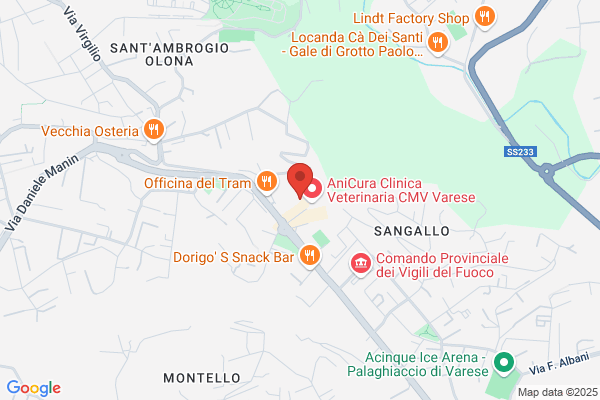 Calzature Maga SA
