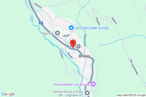 SwissDomestica