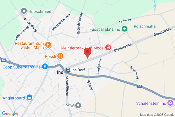 Oppliger Ins AG