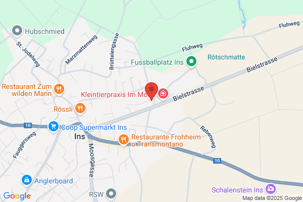 Schoenmann und Guth
