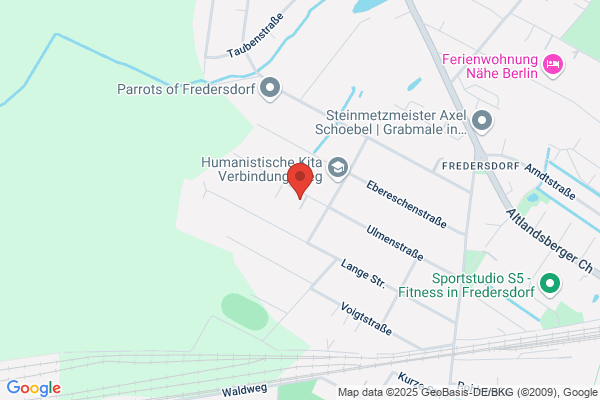 Mediaservice Buehler GmbH