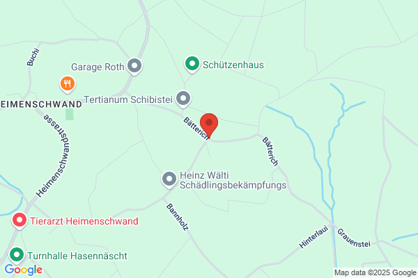 Blaser Bernhard