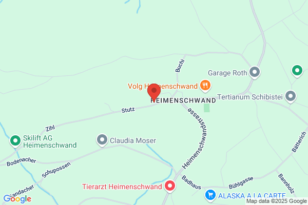 Feuerwehr Hornberg