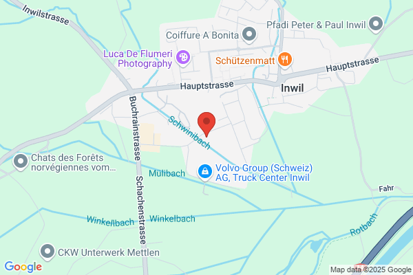 Buholzer Baumaschinen GmbH