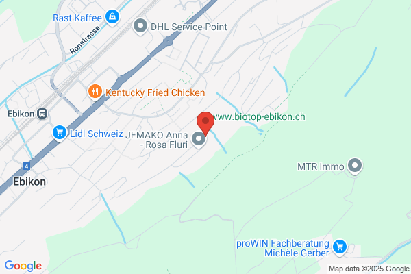 Amhof Informatik GmbH