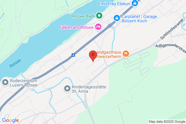 Fahrschule Piacentini SA