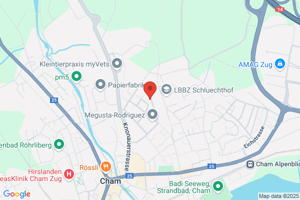 Hagmann - Management - Services