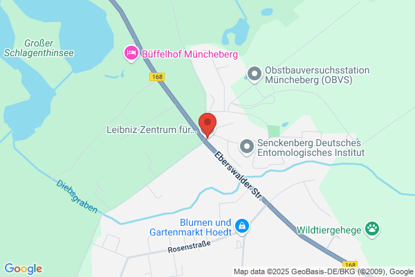 Anstalt fuer Zellforschung