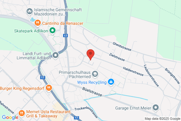 Kaminfeger Mühlebach