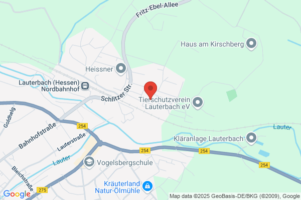 Bieniok Holzagentur