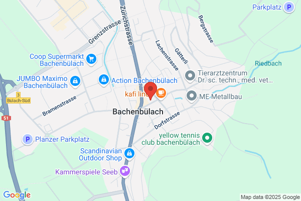 Malergeschäft Butti