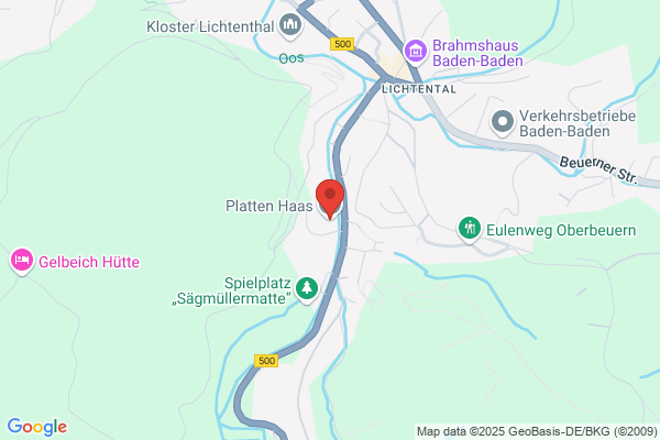 Plattenleger-Bozat.ch