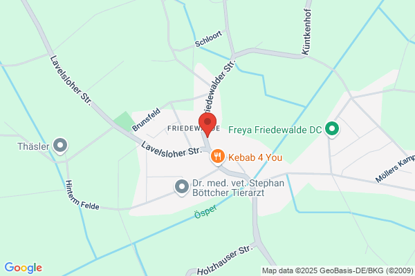 Felix Meier GmbH