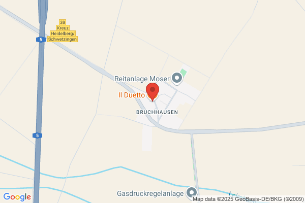 Ristorante Pizzeria 'il Duetto', Palmeri