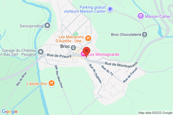 Chat Lamala Peinture Sàrl