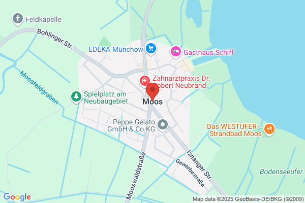 Ludwig Moos