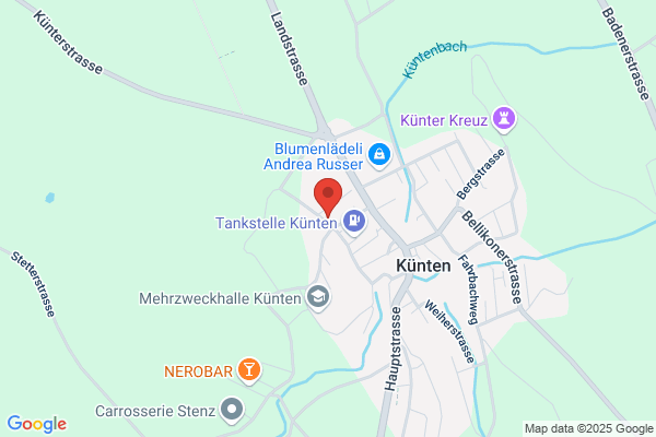 Schuepfer Immobilien
