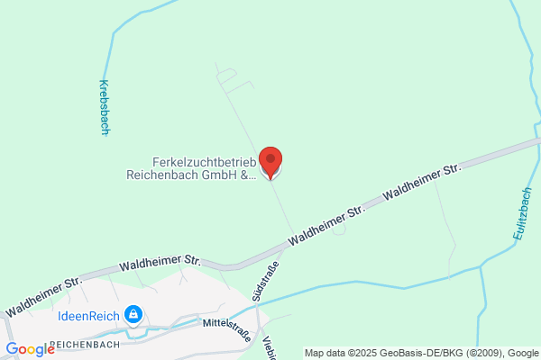 Rechsteiner Schweinezucht