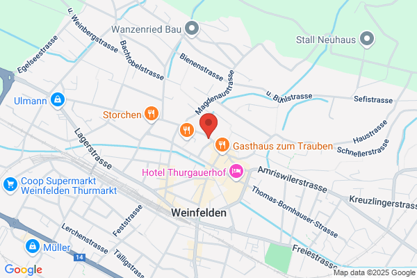 Greminger Treuhand GmbH