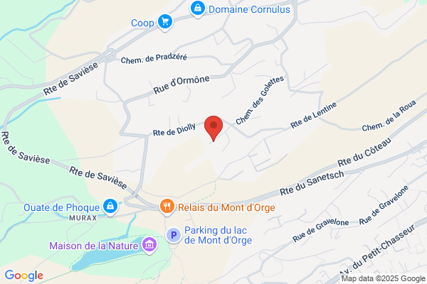 CDF Entreprises Sàrl