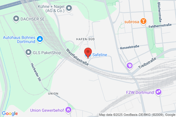 DEXIS CAPITAL