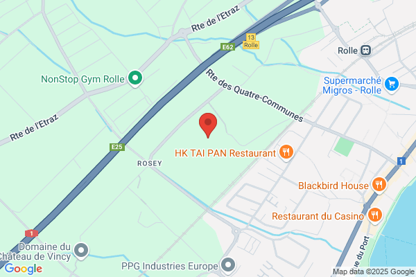 Institut Le Rosey