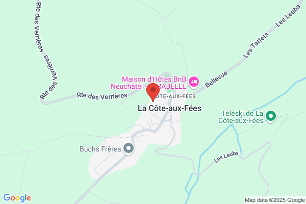 Joie de Vivre SA