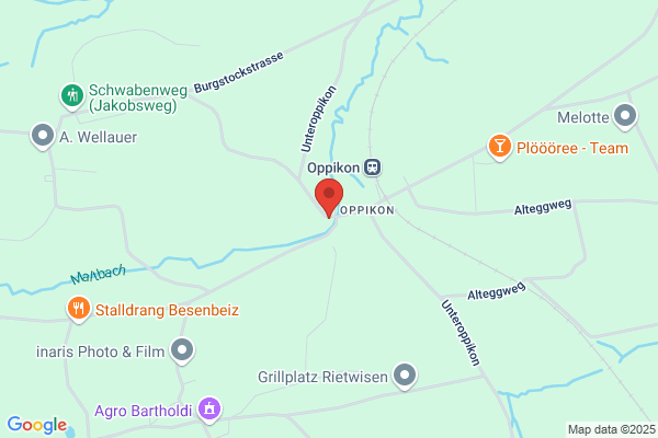 Gasthaus Ribi