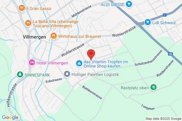 Holzmann Informatik
