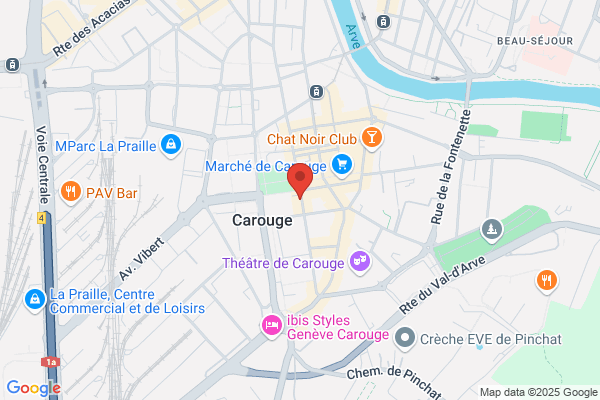 LES MENUS SERVICES GENEVE