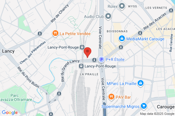 DLS Delaunay