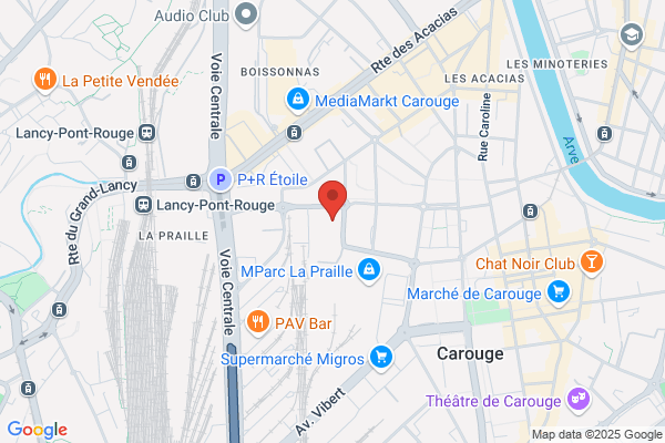 LAMICELA Vandals Vinyl