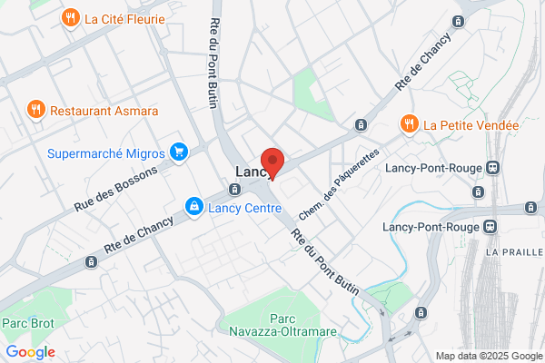 ibis Geneve Petit Lancy