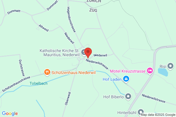 Nutrasuisse Ingredients und Technology Ltd