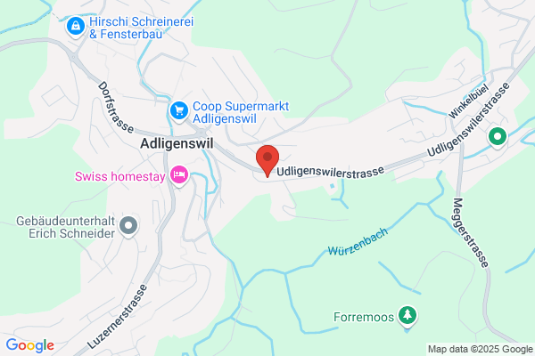 Loetscher Werbung
