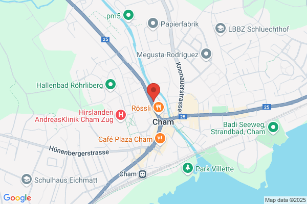 H. Kaufmann GmbH