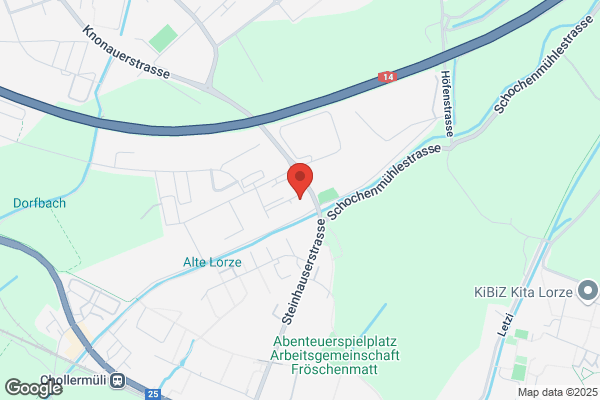 SHI Homoeopathische Schule AG