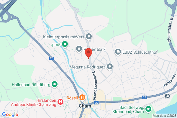 Papierfabriken Cham-Tenero AG