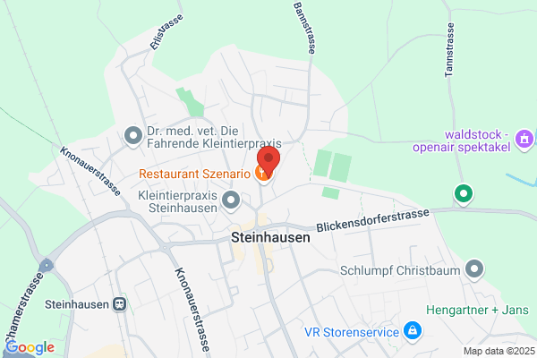 Gasser Management Services Gmbh
