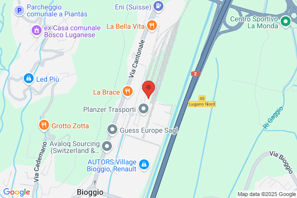 Dogana Svizzera