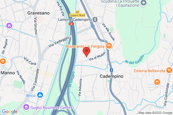IVS Ticino